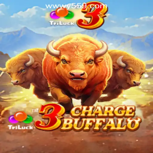 3ChargeBuffalo: An In-Depth Look at Y559.COM Official Slots Brasil #1