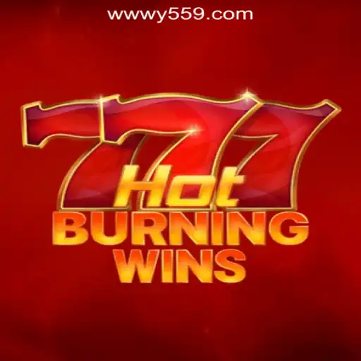 Exploring HotBurningWins and Y559.COM Oficial Slots Brasil #1